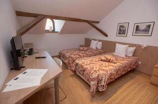 Гостевой дом Guest House 1568 Клуж-Напока Большой двухместный номер с 1 кроватью или 2 отдельными кроватями-2